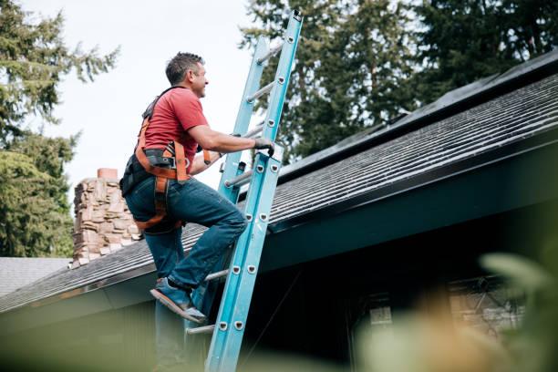 Best Roof Ventilation Installation  in Cicero, IL
