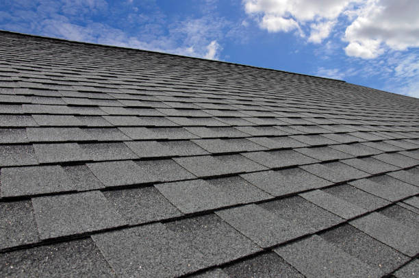 Best Roof Maintenance and Cleaning  in Cicero, IL