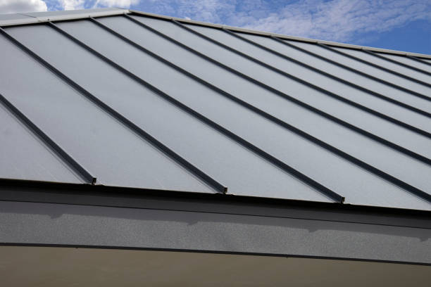 Best Skylight Installation and Repair  in Cicero, IL