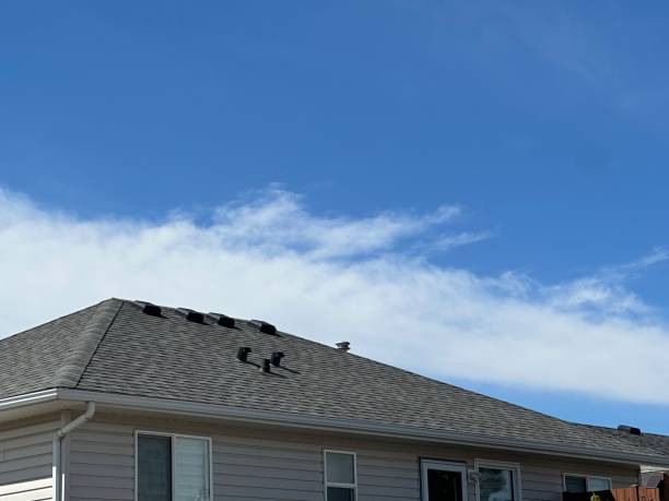 Best Metal Roofing Installation  in Cicero, IL