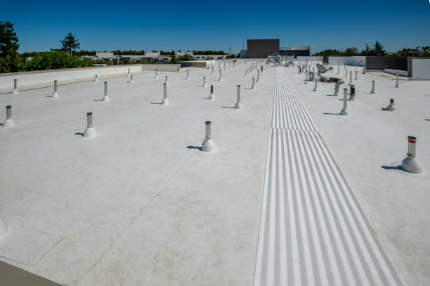 Best Wood Shake Roofing  in Cicero, IL